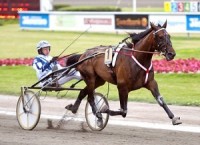 Tor Mento . nu i Frankrig. Arkiv Kanal 75