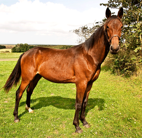 UNik Tamsen, som han så ud som åring