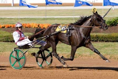 Pampered Princess . moder til bl.a. Granturismo