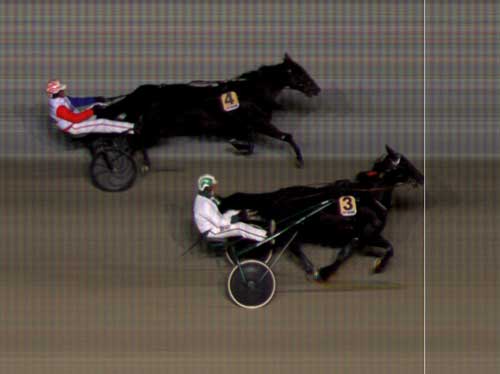 Simonis Kaj henviser Sweet Vacation til andenplads