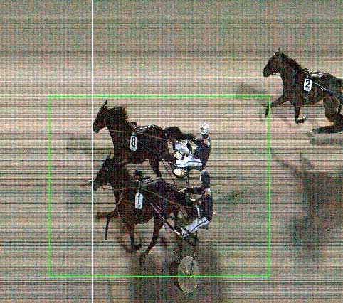 V75-spillet blev indledt med dødt løb mellem Classifation og Nose Gear.