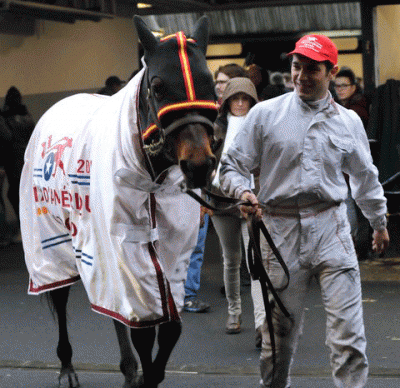 Bold Eagle - Foto Kim Gudman