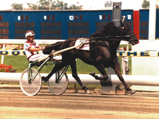 Mack Lobell med John D. Campbell vinder The Hambletonian Stake 1987