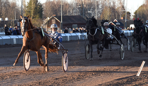 Alfas da Vinci vinder sikkert foran Rapide de Pommeau. Foto  Kanal 75