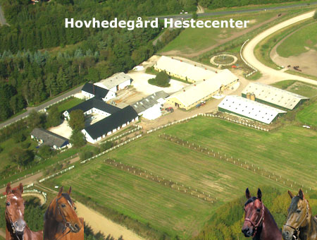 30 år på Hovhedegaard