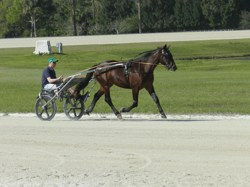 Ole Bender tester den amerikanske 2-pring In Charge.