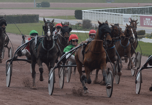 Pingus Vang vinder dagens Quintet-løb oå Enghien. Foto Gerard Forni