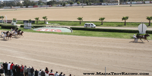 Så suveræn var Razor Shadow ved søndagens sejr på Malta
