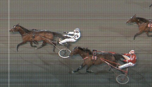 Saint Emilion med Jørgen Sjunnesson vinder sikkert efter et løb i dødens.,