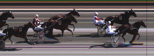 Valla d'Estino vinder JGP Hoppeafdeling foran lรธรฆnge fรธrende Escada BR. SAlebrte Merci nummer fem.