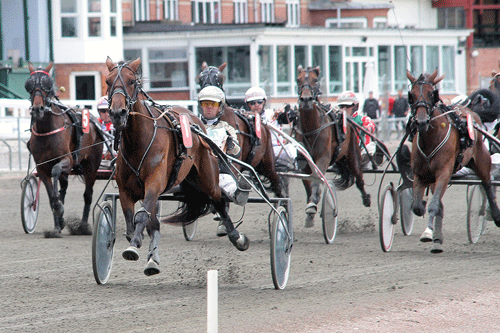 Amulet med Birger Jรธrgensen vandt efter behag. Foto Martin Timm Holmstav