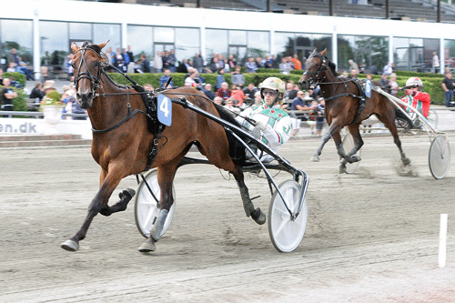 Kaj Jensen-trรฆnede Angelina med Jeppe Juel vandt รฅrets fรธrste sejr. Foto Martin Timm HOlmstav