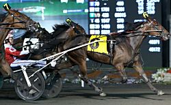 Royal Dream var overraskende vinder af Elegantimage - Foto: USTA