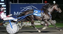 Seven and Seven vinder Willaim Wellwood Memorial - Foto: USTA