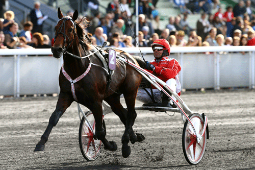 Sparten Kronos - Foto Gerard Forni