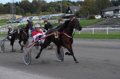 American Photo med Johnny Jรธrgensen - parret vandt seks sejre sammen i 2016- Foto: Ole Hindby