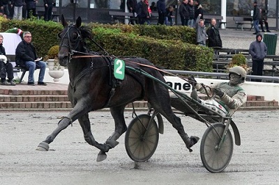 Et sukkerlรธb bรธd Jeppe Juel Armani V P pรฅ og han kvitterede med sikker sejr - Foto: Martin Timm Holmstav