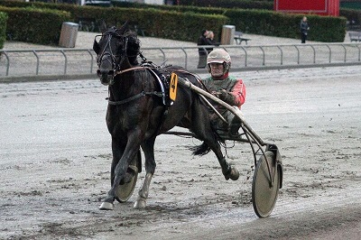 Stรธrste favorit og dagens mest overlegne: Bandit Brick - Foto: Martin Timm Holmstav