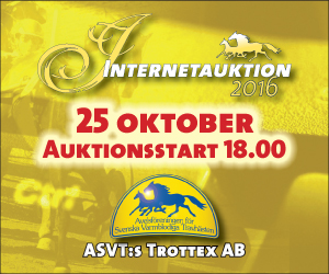 Internet Sale 2016 Denmark 300x250px new.indd