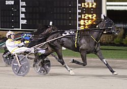 Obrigado var overlegen for Mark Macdonald i Dayton Trotting Derby - Foto: USTA