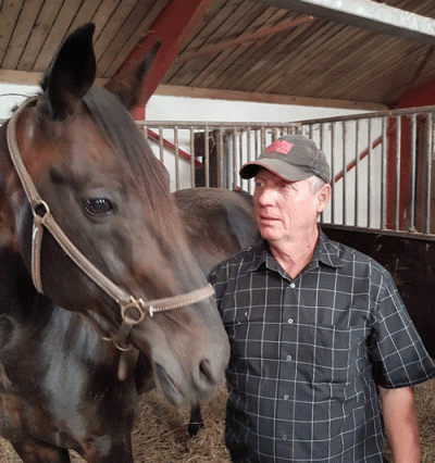 På vej mod sit 7. hingstechampionat