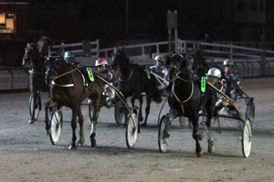 Amazing Dynamite vinder også 2. afdeling af Taroks Mindeløb - Foto: Martin Timm Holmstav