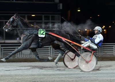 Der er godt dansk blod pรฅ modersiden i Dajmen AM, der sejrede pรฅ Solvalla for รrjan Kihlstrรถm
