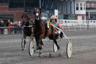 Cool med Steen juul vinder sikkert sin debut i 1.17.2a/2000 m. Foto Martin Timm Holmstav.