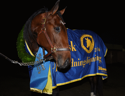 Coin Perdu. Foto Kanal 75