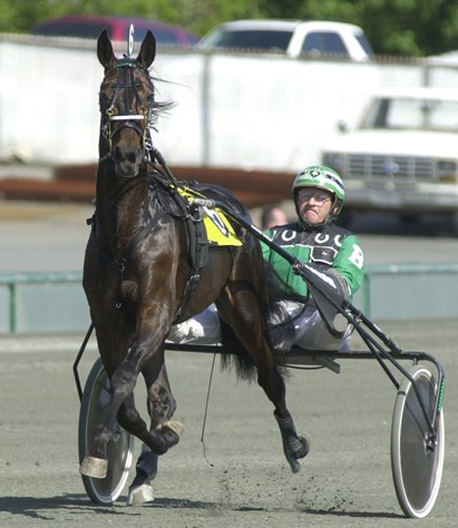 Avlshingstestatistik: Intet nyt under solen