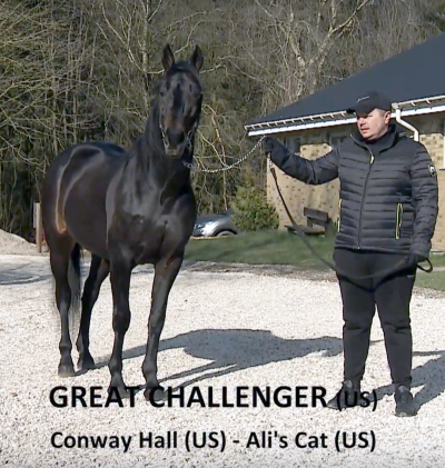 Great Challenger pensioneres