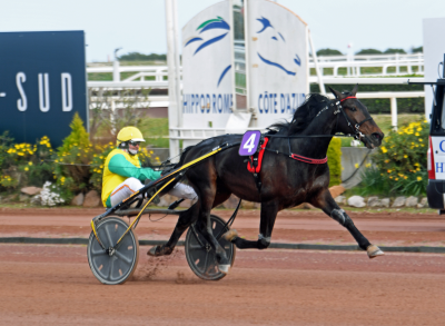 Når Vivid Wise As at vinde løb i år?