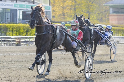 Travauktioner: Kolbergs heste var dyrest