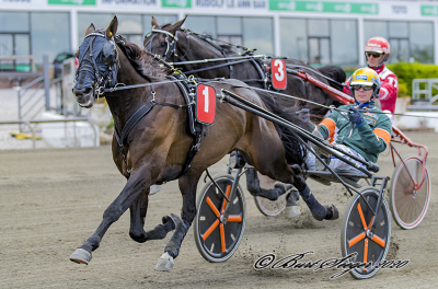 Nej til Elitloppet