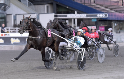 V86: Don Fanucci Zet er storfavorit