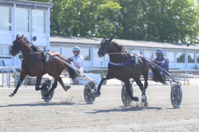 Fyn melder klar til fredagens løb