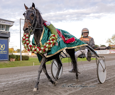 Golden CN kostede 42.000 kroner