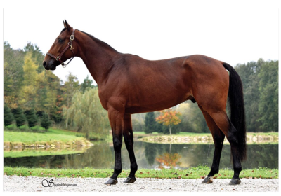 Vintermeeting: Sønnen har afløst faderen