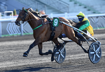 Positive bedækningstal fra Frankrig