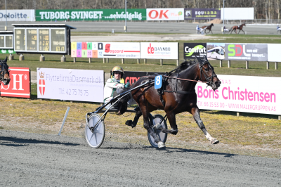 Femteplads til Dowhatyoudodowell i Toulouse