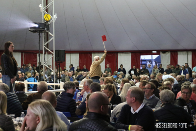 Ingen Vilhelmsborg-auktion i år