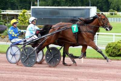 Tophoppe i fol ved Face Time Bourbon
