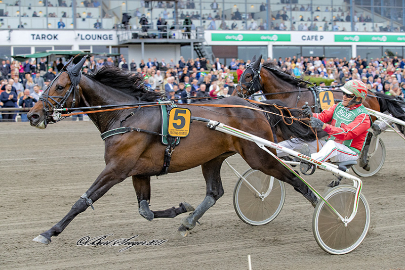 Derbyvinderen Festival of Speed død på operationsbordet