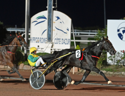Vivid Wise As har tjent mere end konkurrenterne tilsammen