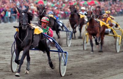 30 år efter Rudolf Le Ann