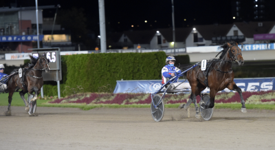 Tetrick Wania – mest benyttede avlshingst i Tyskland i 2024