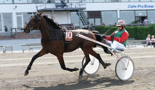 Enjoy the Game henter fortsat gode præmier i Frankrig