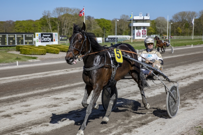 First Blood Stable køber helbroder til Know Your Shadow