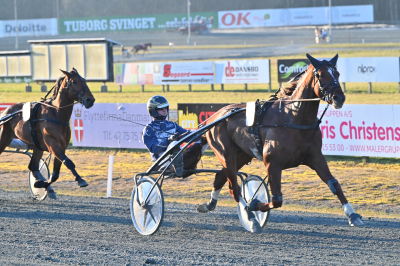Nytårsauktionen med 20 heste – budgivningen er åbent