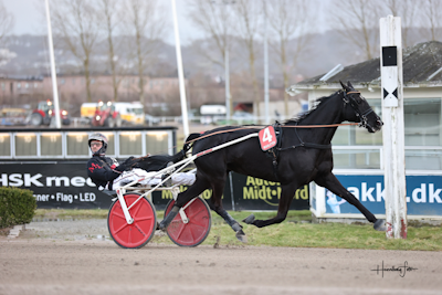 Skive: Montéløb for hurtigtravere